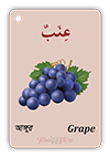 Arabic flash card