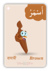 Arabic flash card