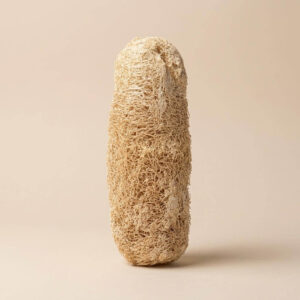 Natural Luffa
